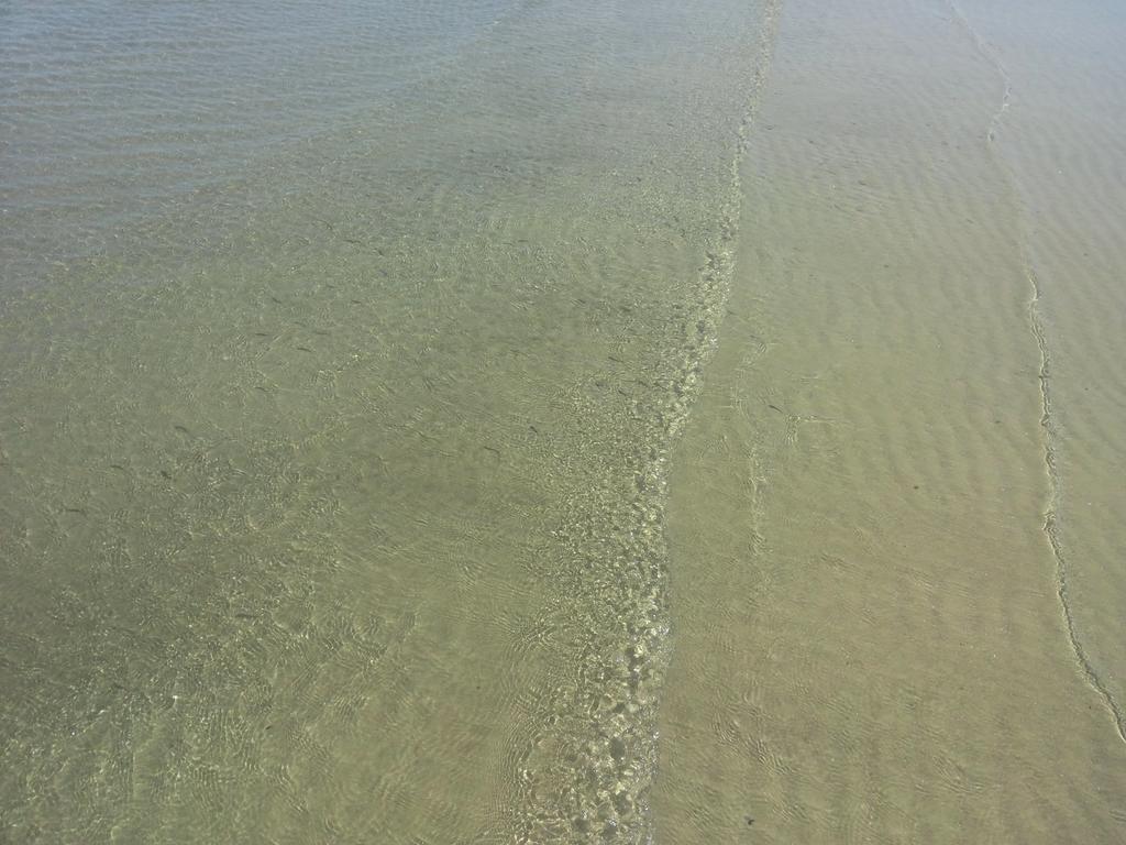 Hotel Vistamare Viserba Rimini Luaran gambar